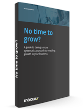 Enabling Growth eBook Cover 3D